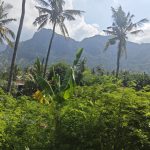 banyu poh village