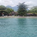 img 20260325 123339